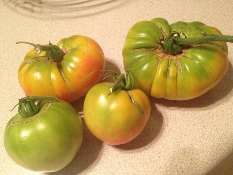  photo 004_zps48b4e9c7.jpg